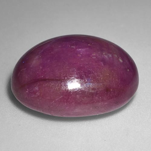 9,17 ctw natürlicher tiefrot Sternrubin, Oval Schliff, Lichtundurchlässig