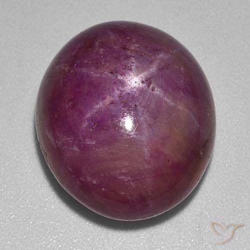 23.39ct Natürlicher Lila-rot Sternrubin, Oval, Lichtundurchlässig