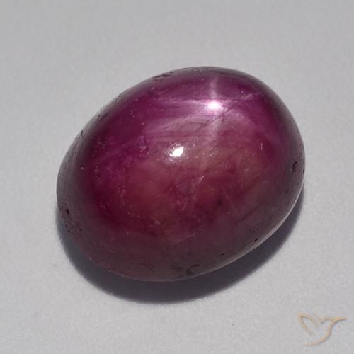 12.53ct Natürlicher Mittel-Dunkelviolett Sternrubin, Oval, Lichtundurchlässig