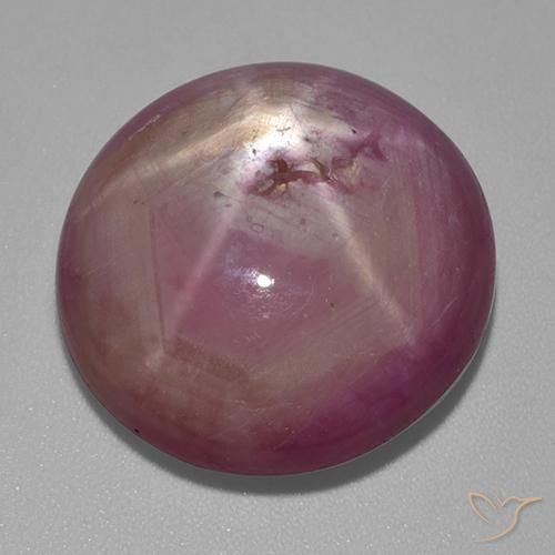 31.80ct Natürlicher Mittel-Helllila Sternrubin, Oval, Lichtundurchlässig
