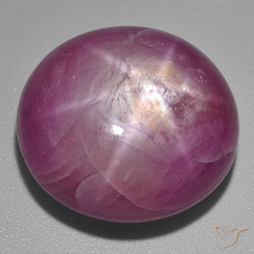 53.60ct Natürlicher Mittel-Dunkelviolett Sternrubin, Oval, Lichtundurchlässig