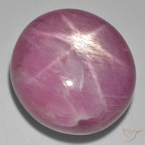 56.00ct Natürlicher Medium Dark-Purple Sternrubin, Oval, Lichtundurchlässig