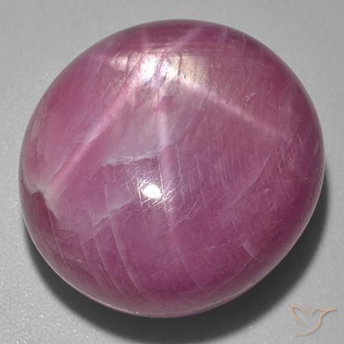 9,17 ctw natürlicher Medium Dark-Purple Sternrubin, Oval, Lichtundurchlässig