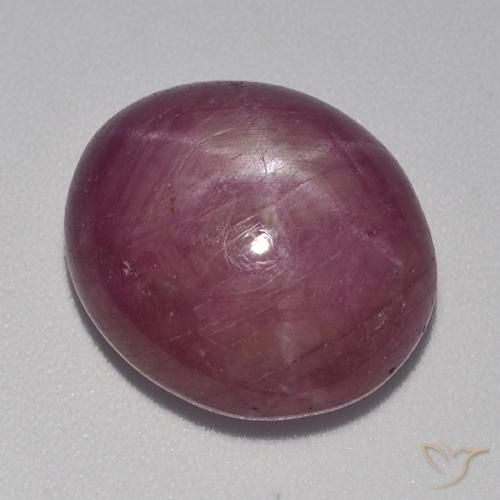 12.36ct Natürlicher rötlich-lila Sternrubin, Oval, Lichtundurchlässig