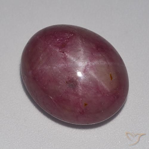 14.78ct Natürlicher Mittel-Dunkelviolett Sternrubin, Oval, Lichtundurchlässig