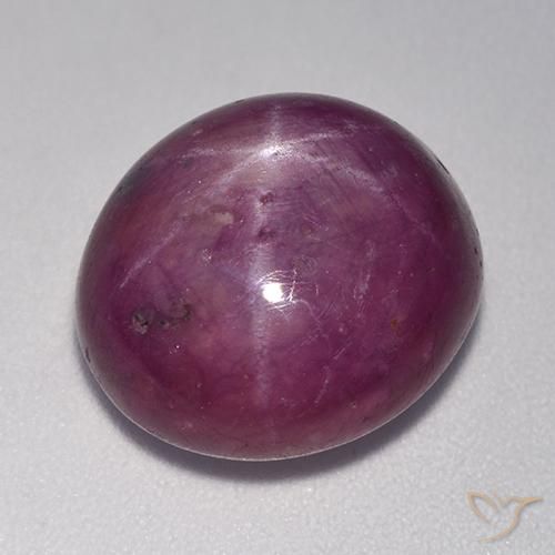 14.20ct Natürlicher rötlich-lila Sternrubin, Oval, Lichtundurchlässig