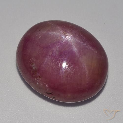 15.19ct Natürlicher Mittelviolett Sternrubin, Oval, Lichtundurchlässig