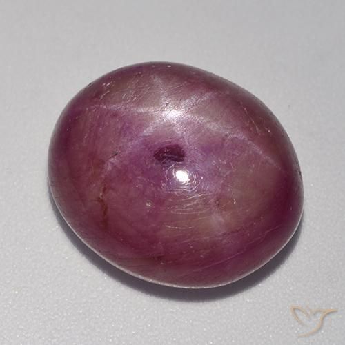 15.67ct Natürlicher rötlich-lila Sternrubin, Oval, Lichtundurchlässig
