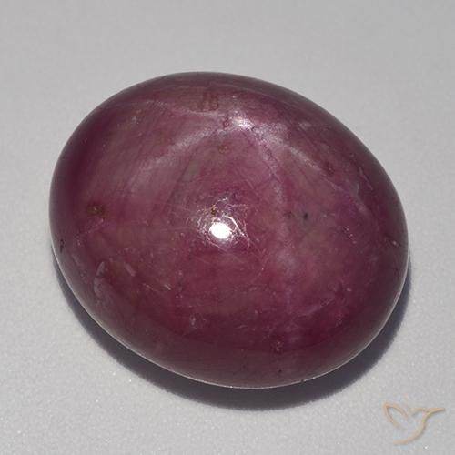 20.21ct Natürlicher Graues Magenta Sternrubin, Oval, Lichtundurchlässig