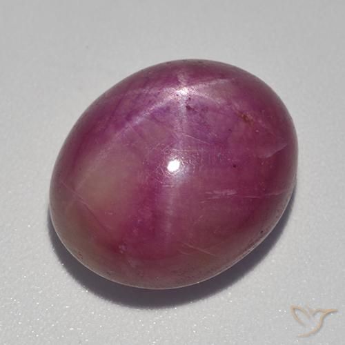 17.67ct Natürlicher rötlich-lila Sternrubin, Oval, Lichtundurchlässig