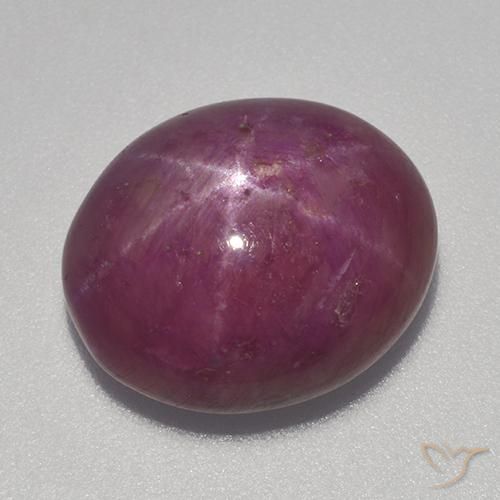 13.70ct Natürlicher Mittel-Dunkelviolett Sternrubin, Oval, Lichtundurchlässig