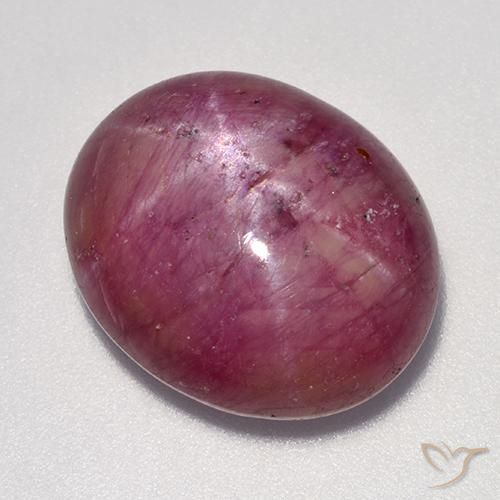 16.94ct Natürlicher Mittel-Helllila Sternrubin, Oval, Lichtundurchlässig