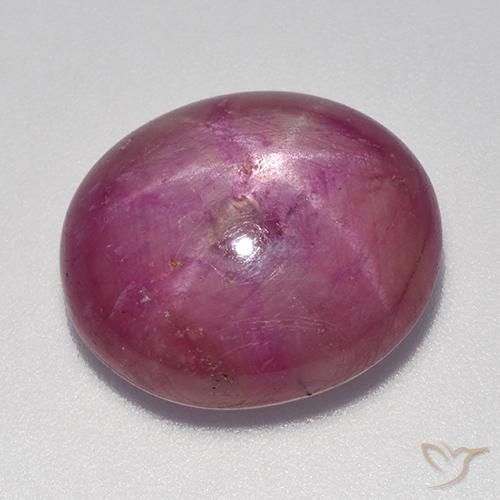 16.49ct Natürlicher Mittel-Helllila Sternrubin, Oval, Lichtundurchlässig