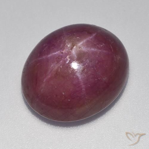 17.70ct Natürlicher Mittel-Dunkelviolett Sternrubin, Oval, Lichtundurchlässig