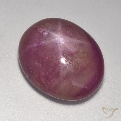 15.00ct Natürlicher Mittel-Dunkelviolett Sternrubin, Oval, Lichtundurchlässig