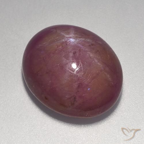 14.20ct Natürlicher Graues Magenta Sternrubin, Oval, Lichtundurchlässig