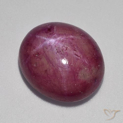 12.64ct Natürlicher Pflaume Lila Sternrubin, Oval, Lichtundurchlässig