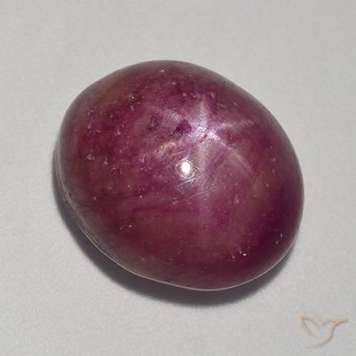 14.52ct Natürlicher Mittel-Dunkelviolett Sternrubin, Oval, Lichtundurchlässig