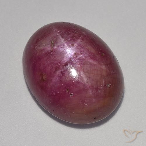 14.18ct Natürlicher rötlich-lila Sternrubin, Oval, Lichtundurchlässig