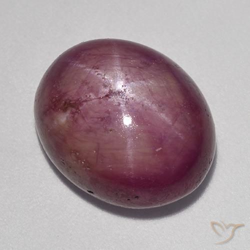 13.63ct Natürlicher Mittelviolett Sternrubin, Oval, Lichtundurchlässig