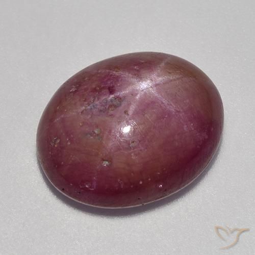 9.53ct Natürlicher Pflaume Lila Sternrubin, Oval, Lichtundurchlässig