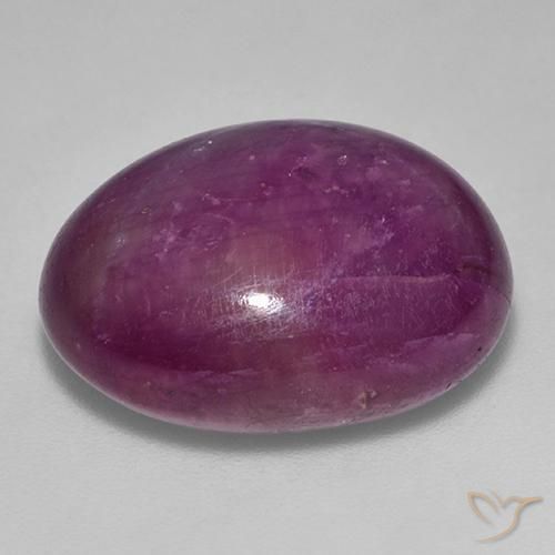 9,17 ctw natürlicher tieflila Sternrubin, Oval, Lichtundurchlässig