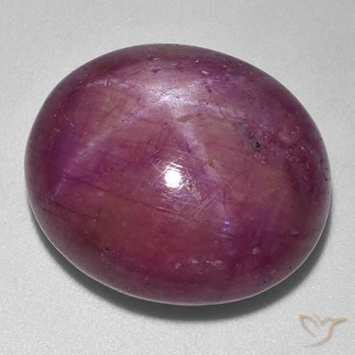 33.25ct Natürlicher Pflaume Lila Sternrubin, Oval, Lichtundurchlässig