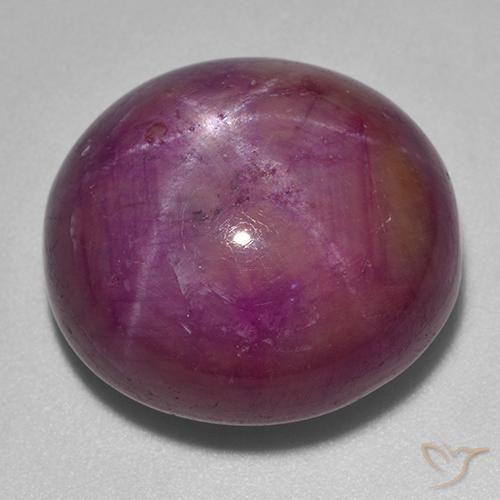 36.03ct Natürlicher rötlich-lila Sternrubin, Oval, Lichtundurchlässig