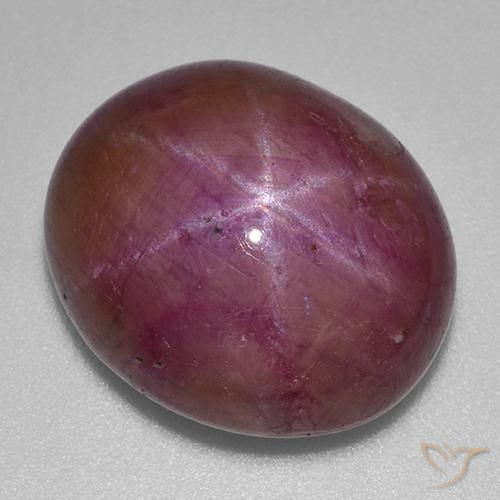 23.70ct Natürlicher Pflaume Lila Sternrubin, Oval, Lichtundurchlässig