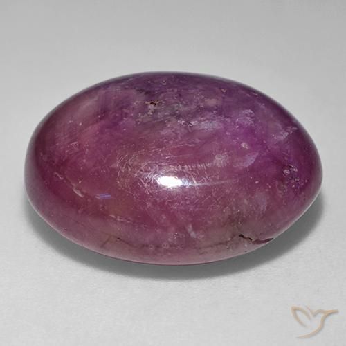 9,17 ctw natürlicher Mittel-Dunkelviolett Sternrubin, Oval, Lichtundurchlässig