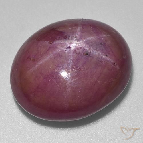 21.03ct Natürlicher Mittelviolett Sternrubin, Oval, Lichtundurchlässig