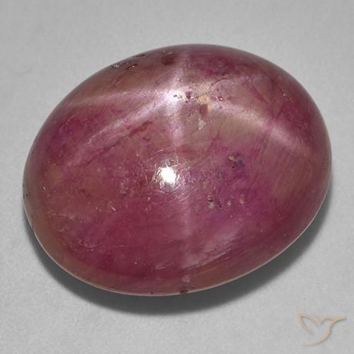 23.05ct Natürlicher rötlich-lila Sternrubin, Oval, Lichtundurchlässig