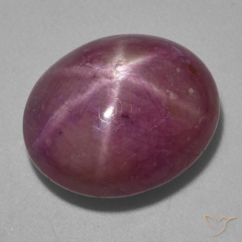 13.87ct Natürlicher Mittel-Dunkelviolett Sternrubin, Oval, Lichtundurchlässig