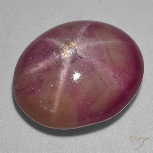 13.67ct Natürlicher Pflaume Lila Sternrubin, Oval, Lichtundurchlässig