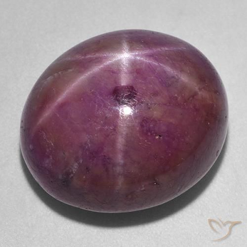 36.24ct Natürlicher rötlich-lila Sternrubin, Oval, Lichtundurchlässig