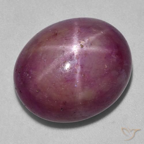 25.16ct Natürlicher Graues Magenta Sternrubin, Oval, Lichtundurchlässig