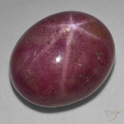 25.89ct Natürlicher Pflaume Lila Sternrubin, Oval, Lichtundurchlässig