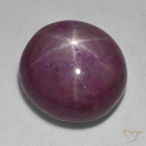 15.13ct Natürlicher Pflaume Lila Sternrubin, Oval, Lichtundurchlässig
