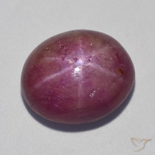 12.55ct Natürlicher Mittelviolett Sternrubin, Oval, Lichtundurchlässig