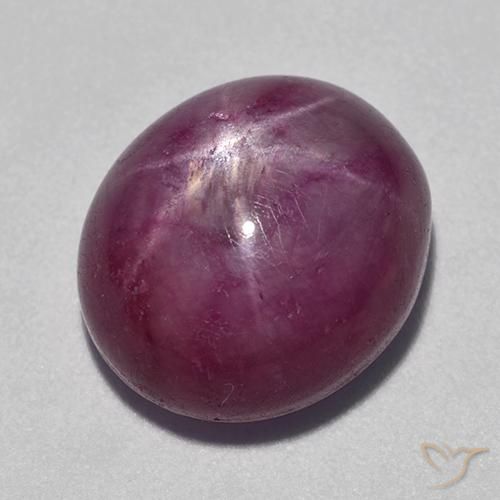 15.09ct Natürlicher rötlich-lila Sternrubin, Oval, Lichtundurchlässig
