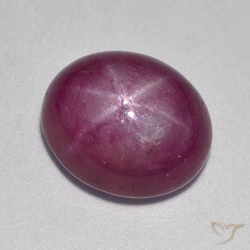 9.44ct Natürlicher rötlich-lila Sternrubin, Oval, Lichtundurchlässig