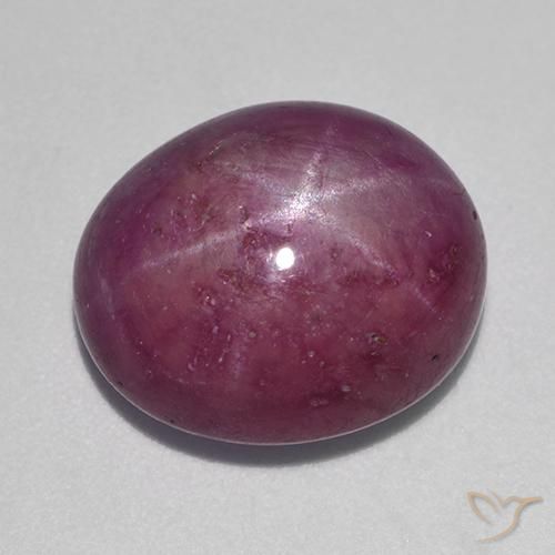 12.54ct Natürlicher Pflaume Lila Sternrubin, Oval, Lichtundurchlässig