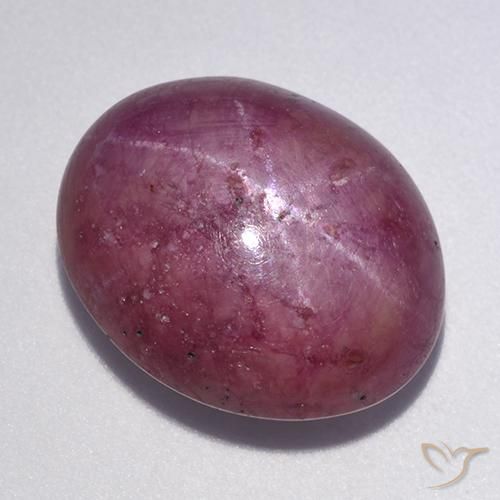 12.56ct Natürlicher Mittel-Dunkelviolett Sternrubin, Oval, Lichtundurchlässig