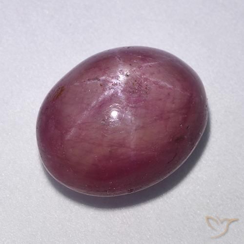 11.40ct Natürlicher Mittelviolett Sternrubin, Oval, Lichtundurchlässig