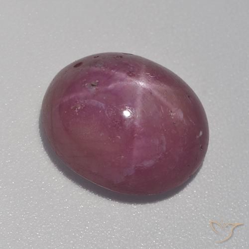 9,17 ctw natürlicher Mittel-Dunkelviolett Sternrubin, Oval, Lichtundurchlässig
