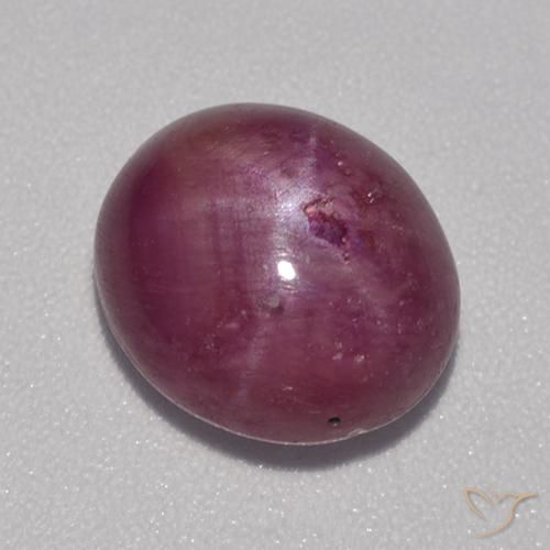 5.68ct Natürlicher rötlich-lila Sternrubin, Oval, Lichtundurchlässig