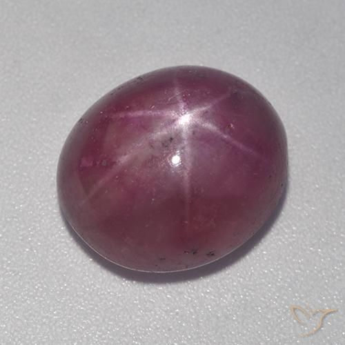 11.15ct Natürlicher Pflaume Lila Sternrubin, Oval, Lichtundurchlässig