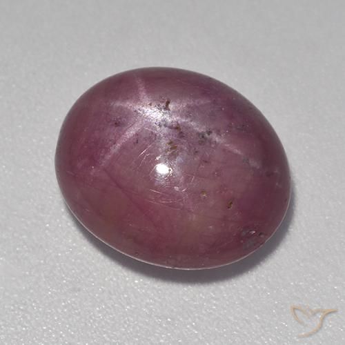 6.89ct Natürlicher rötlich-lila Sternrubin, Oval, Lichtundurchlässig