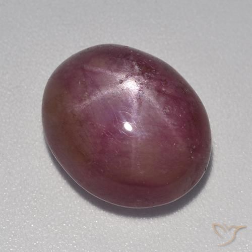 9,17 ctw natürlicher Mittel-Dunkelviolett Sternrubin, Oval, Lichtundurchlässig