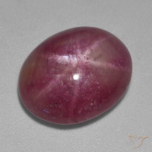 8.43ct Natürlicher rötlich-lila Sternrubin, Oval, Lichtundurchlässig